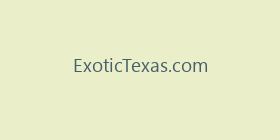 ExoticTexas.com