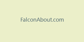 FalconAbout.com