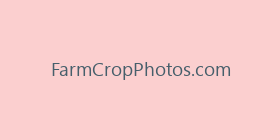 FarmCropPhotos.com