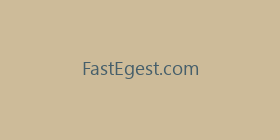 FastEgest.com