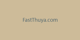 FastThuya.com