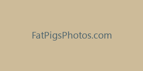 FatPigsPhotos.com