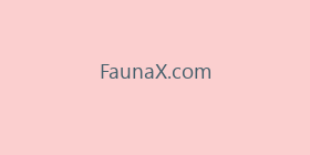 FaunaX.com