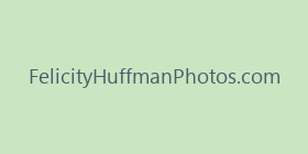 FelicityHuffmanPhotos.com