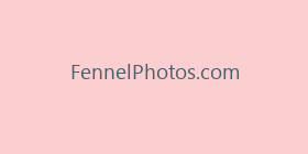 FennelPhotos.com