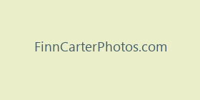 FinnCarterPhotos.com