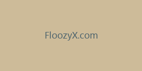 FloozyX.com