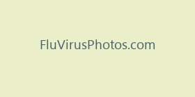 FluVirusPhotos.com