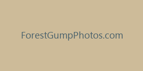 ForestGumpPhotos.com