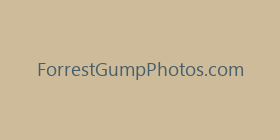 ForrestGumpPhotos.com