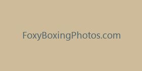 FoxyBoxingPhotos.com