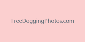 FreeDoggingPhotos.com