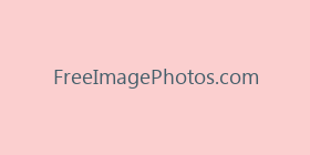 FreeImagePhotos.com