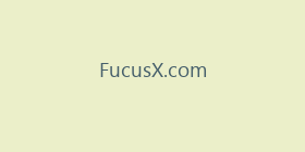 FucusX.com