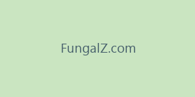 FungalZ.com