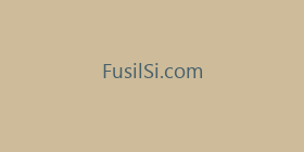 FusilSi.com