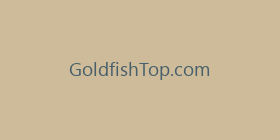 GoldfishTop.com