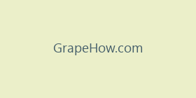 GrapeHow.com
