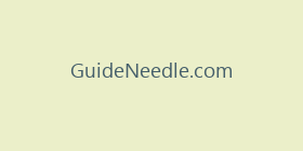 GuideNeedle.com