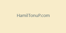 HamilTonuP.com