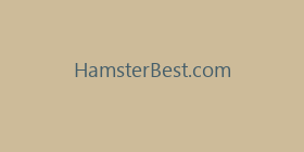 HamsterBest.com