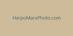 HarpoMarxPhoto.com