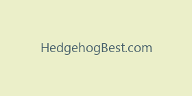 HedgehogBest.com