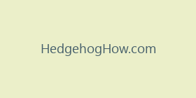 HedgehogHow.com