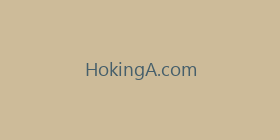 HokingA.com