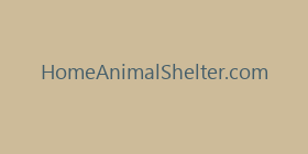 HomeAnimalShelter.com