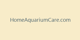 HomeAquariumCare.com