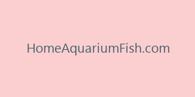 HomeAquariumFish.com