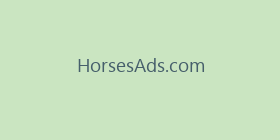 HorsesAds.com