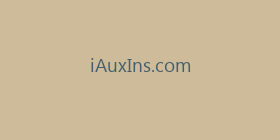 iAuxIns.com