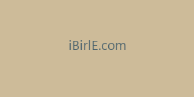 iBirlE.com