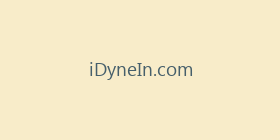 iDyneIn.com