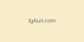 IgAun.com