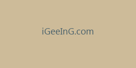iGeeInG.com