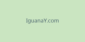 IguanaY.com