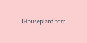 iHouseplant.com