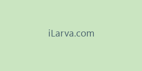 iLarva.com