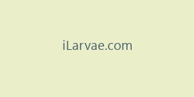 iLarvae.com