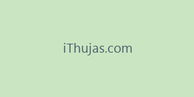 iThujas.com