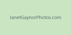 JanetGaynorPhotos.com