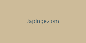 JapInge.com