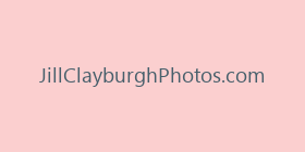 JillClayburghPhotos.com