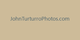 JohnTurturroPhotos.com