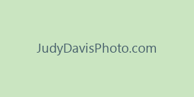 JudyDavisPhoto.com