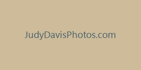 JudyDavisPhotos.com