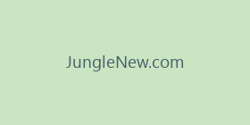 JungleNew.com